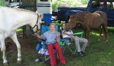 Hungry Horses